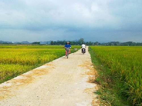 Năm 2014 phấn đấu duy trì tốc độ tăng trưởng nông lâm thủy sản ở mức 2,3-2,5 %,