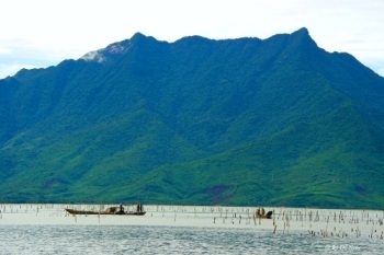 Đầm phá Tam Giang - Cầu Hai đang bị "đầu độc"