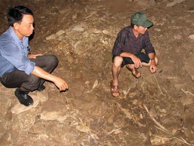Chuẩn bị khai quật khảo cố tại Hang Diêm, Thanh Hóa
