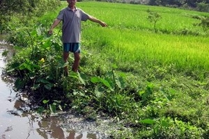 Thừa Thiên - Huế: Dân lấp cống xả thải nhà máy gây ô nhiễm
