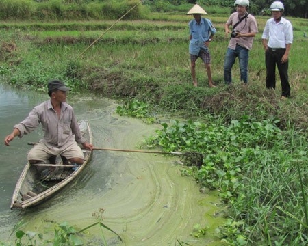 Vụ "Nhà máy tinh bột sắn TT-Huế xả thải độc": Vẫn hỗ trợ thiệt hại nhỏ giọt