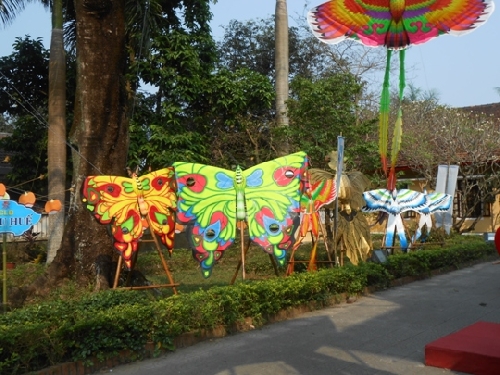 Những cánh diều rực rỡ đầy màu sắc