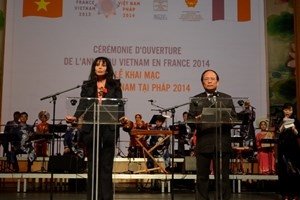 Năm Việt Nam tại Pháp 2014