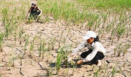 Hội thảo tổng kết dự án giảm nhẹ rủi ro thiên tai và thích ứng biến đổi khí hậu dựa vào cộng đồng