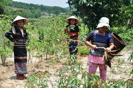 Xa lắm bản Hoo 