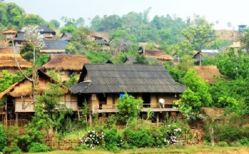 Chiến địa hoa