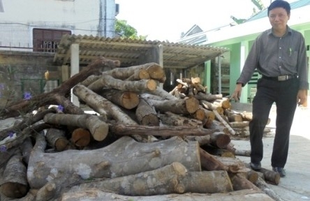 Phát hiện 39 vụ vận chuyển lâm sản trái phép