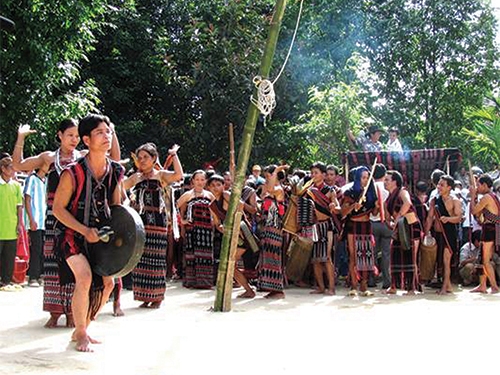 Thẩm định phim khoa học về điệu múa trong lễ hội Aza Kooh