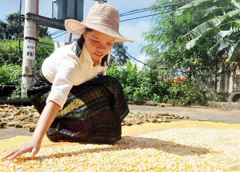 Nghị lực theo đuổi ước mơ làm bác sĩ của cô bé Vân Kiều