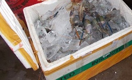 Tạm giữ hơn 2000kg các mặt hàng thủy sản không có nguồn gốc