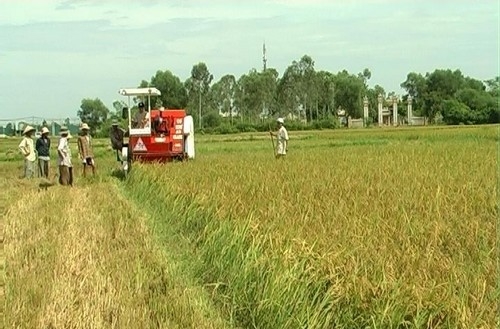 Quảng Điền: Tổng thu ngân sách (thu nội địa) đạt 40.359 triệu đồng