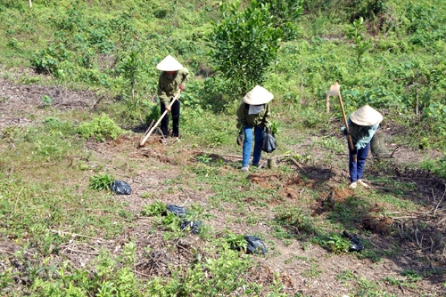 Để người dân hưởng lợi từ rừng