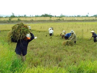 Công bố Hệ thống quản lý chất lượng của Sở Nông nghiệp và PTNT tỉnh  phù hợp với Tiêu chuẩn quốc gia TCVN ISO 9001: 2008