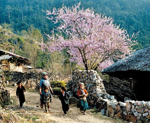 Nhìn lướt từ một thể văn ngắn