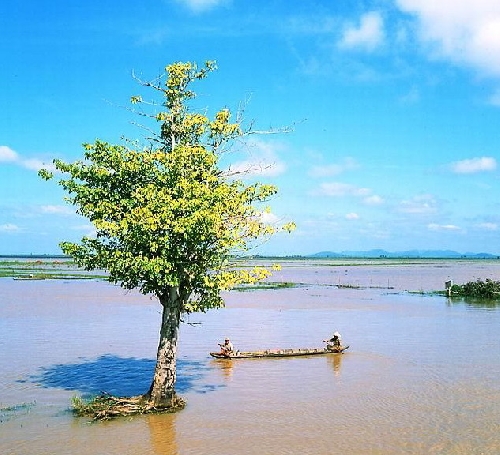 Nghĩ về văn học và nông thôn, nông dân ở đồng bằng sông Cửu Long