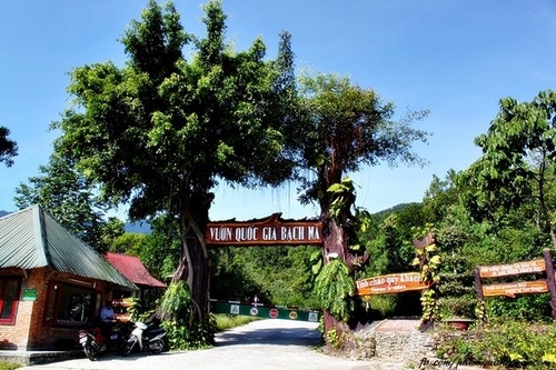 Vườn quốc gia Bạch Mã, chuyến đi không cần lên kế hoạch