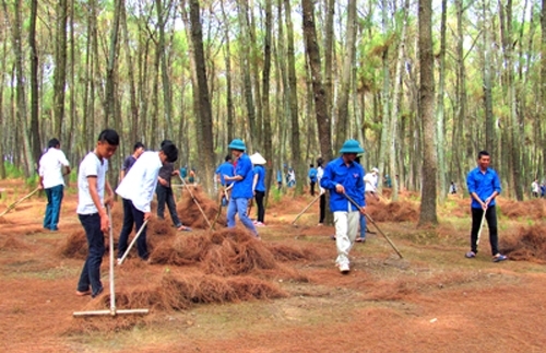Chủ động triển khai các biện pháp cấp bách để bảo vệ rừng, phòng cháy, chữa cháy rừng