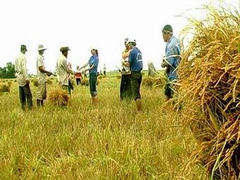 Tổ chức FIDR Việt Nam (Nhật Bản) thăm và làm việc tại Thừa Thiên Huế