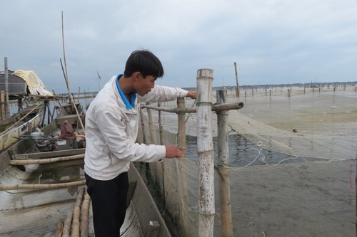 Mô hình nuôi cá lồng mang lại hiệu quả cao cho người dân Quảng Điền.