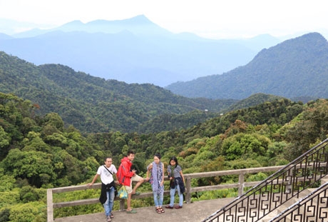 Bạch Mã vắng khách
