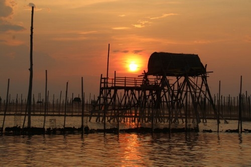 Đêm thanh bình trên đầm Chuồn