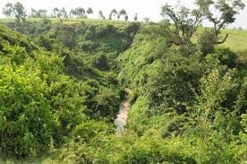 Triển khai dự án “Rừng mưa nhiệt đới”