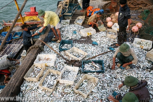 Tổng sản phẩm trong tỉnh 6 tháng đầu năm 2015 ước tăng 8,39%