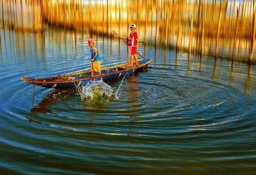 Khám phá những trải nghiệm thú vị trên phá Tam Giang