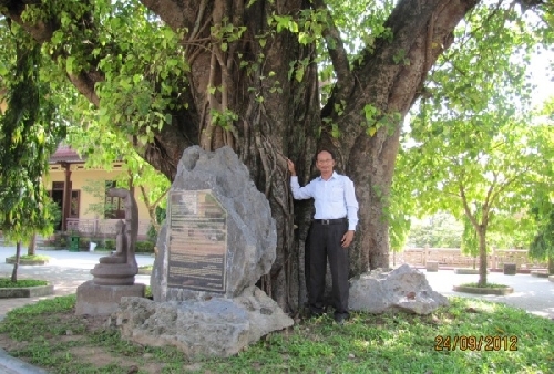 Cây Bồ đề ở Huế