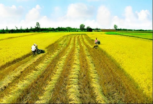  Tập huấn nghiệp vụ Tổng điều tra Nông thôn, Nông nghiệp và Thủy sản 2016 khu vực Bắc Trung Bộ, Duyên hải miền Trung và Tây Nguyên