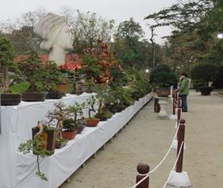 Hội Vui Xuân Bính Thân - năm 2016