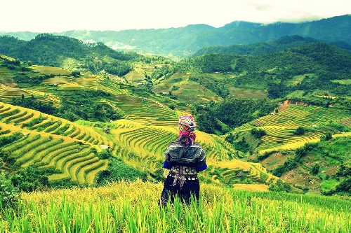 Các nhà văn, nhà thơ người dân tộc thiểu số và việc phấn đấu để có nhiều tác phẩm có giá trị