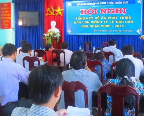 Hỗ trợ hơn 12 tỷ đồng cho người dân để phát triển chăn nuôi lợn