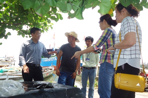 Bộ Y tế làm việc với Sở Y tế về triền khai khắc phục hậu quả cá chết bất thường 