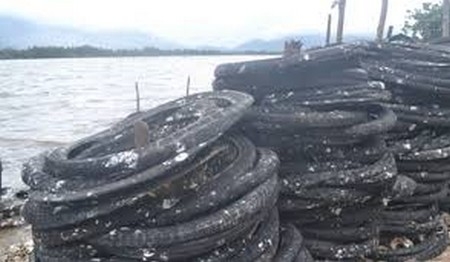 Sản lượng hàu hàng năm đạt khoảng 400 tấn