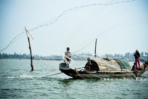 Nhọc nhằn mưu sinh nơi phá Tam Giang