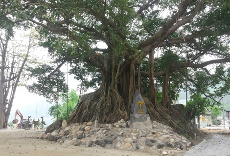 Lập dự án bảo tồn, tôn tạo và phát huy giá trị di tích Ngã ba Ràng Bò – Bến cây đa Đá Bạc