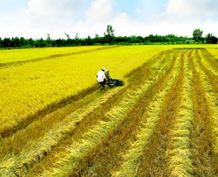 Trong giai đoạn 2011-2015, toàn tỉnh đã kêu gọi và cấp phép cho 100 dự án đầu tư với tổng vốn đăng ký 31 nghìn tỷ đồng.