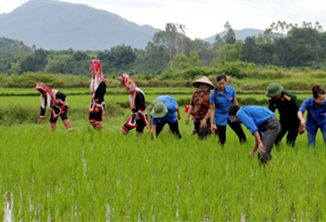 Đoàn Kinh tế - quốc phòng 92 (A So, huyện A Lưới) tiếp nhận 20 trí thức trẻ tình nguyện