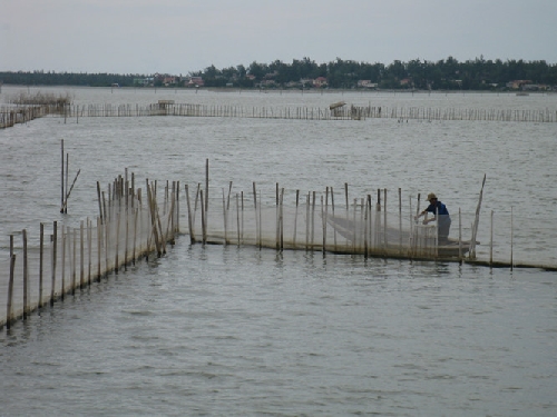 Từ 1.10, đánh bắt thủy sản trên đầm phá Tam Giang phải có giấy phép