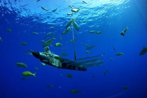 Mỹ lạnh giọng với Trung Quốc về Biển Đông