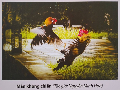 Triển lãm ảnh “Huế - Sắc màu thời gian”