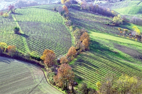 Emilia Romagna - “Ăn, cầu nguyện và yêu”*