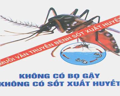 Mít tinh hưởng ứng Ngày ASEAN phòng chống sốt xuất huyết.