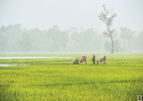 Chùm thơ Lâm Thị Mỹ Dạ