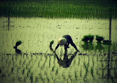 Chùm thơ Trần Quốc Toàn