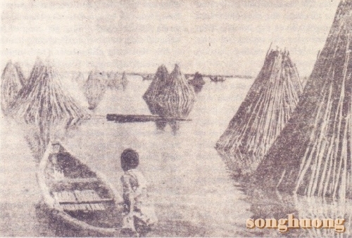Cung đờn