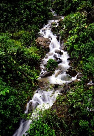 Chùm thơ Nguyễn Giáng Vân