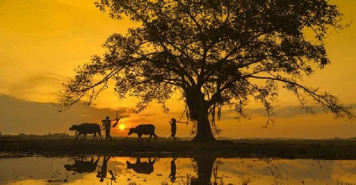 Chùm thơ Trần Quốc Toàn