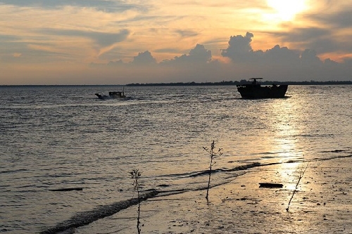 Chùm thơ Phạm Nguyên Tường